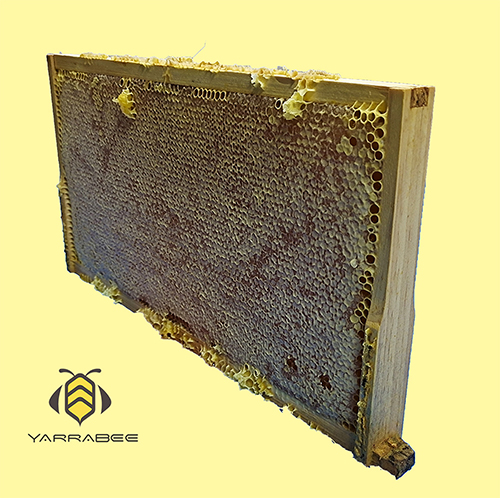 Assembled frame with plastic foundation - Image 2