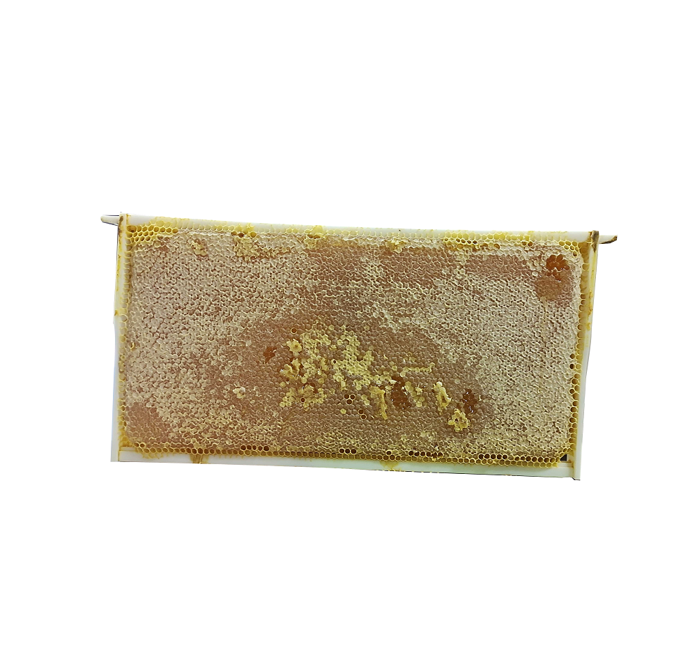 Plastic Frame Flat Pack for beekeeping - Image 6