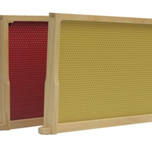 FD frame with plastic foundation